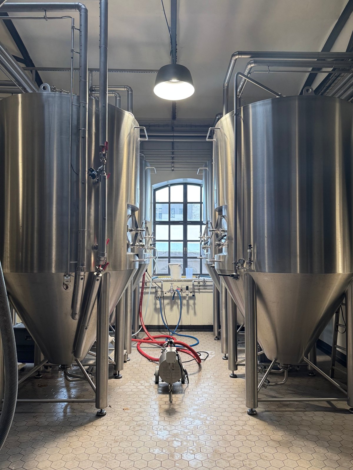 WØL Gutschein – Zeit für echten Genuss - WØL Shop